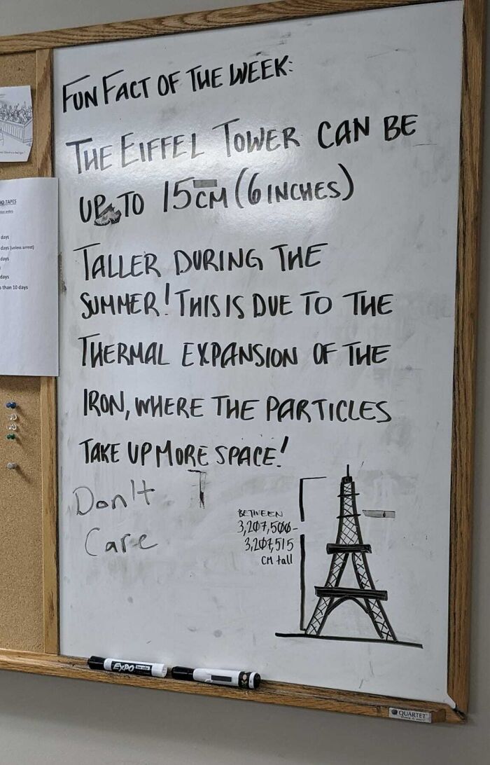 I Have Been Writing A Fun Fact Every Week On An Unused Whiteboard At The Office. Someone Clearly Doesn't Like It