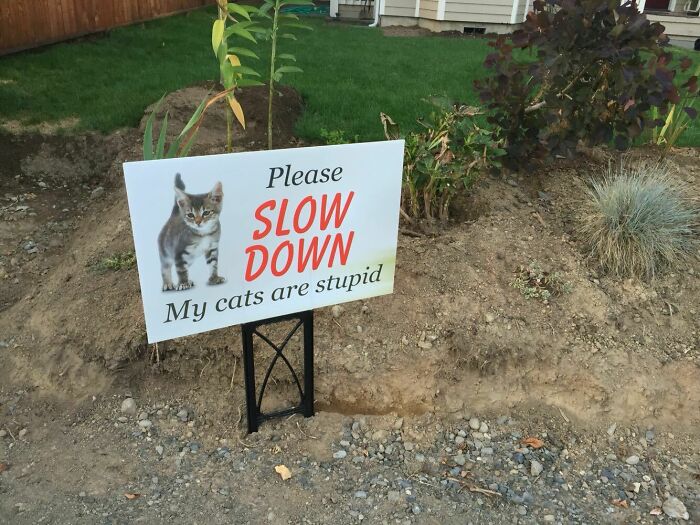 Sign Recently Erected In My Neighborhood
