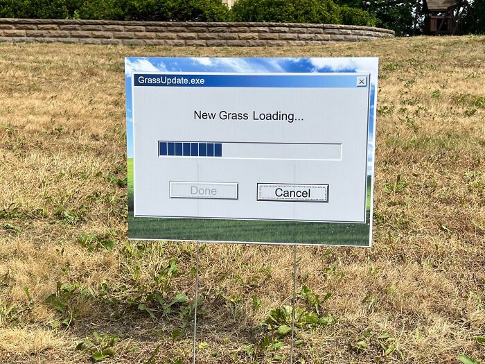 My Husband Is In The Process Of Redoing Our Lawn. He Recently Began Killing Off All Our Grass. I Didn’t Want Our Neighbors To Think We Were Neglectful Homeowners, So I Made A Sign