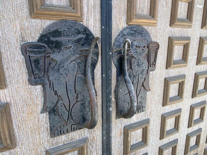 Las colas de los gatos son las manijas de las puertas