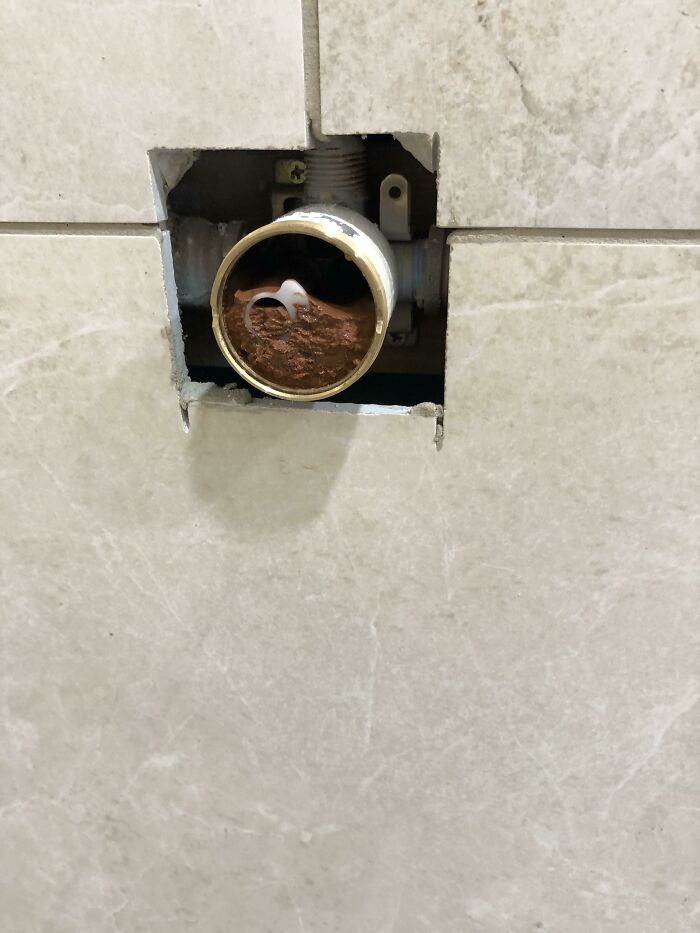 Homeowner Took It Upon Himself To Fire Up The Well On A New Build And Fill The House Lines Full Of Sediment And Mud