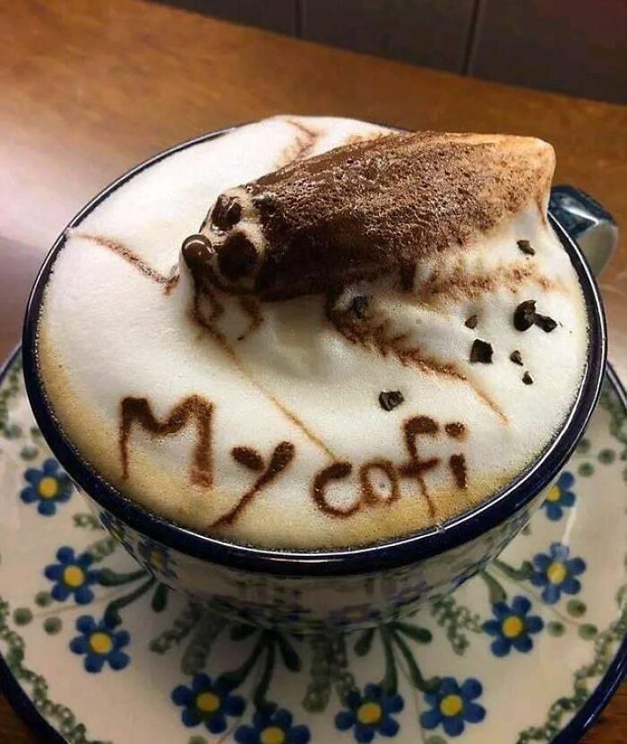 Cursed food art depicting a moth on coffee foam with text "My cofi."