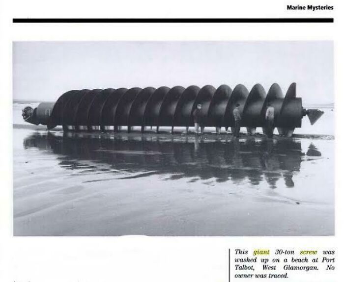 Hey I Found Your...screw?