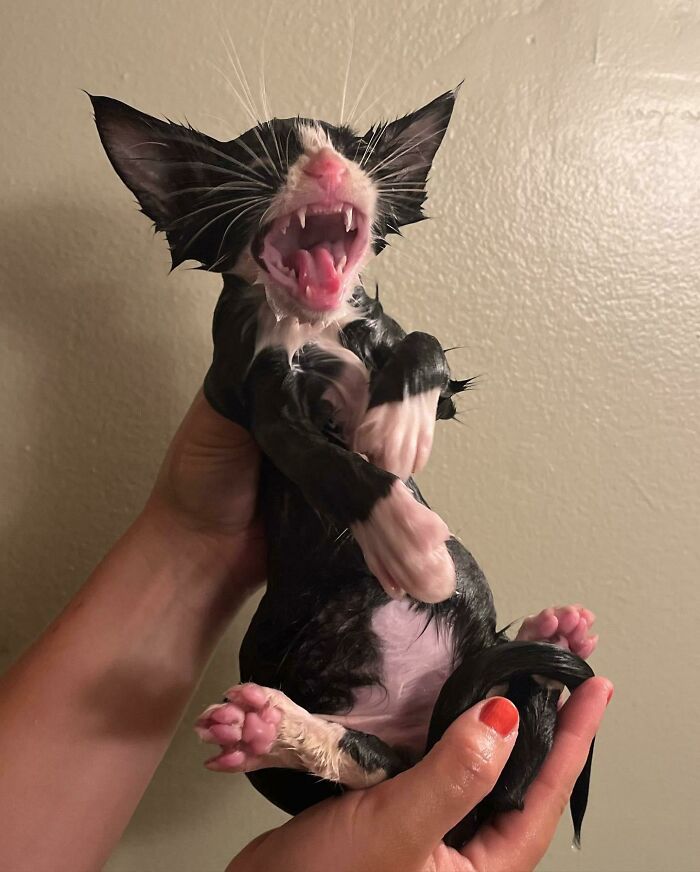 Upset He Had To Take A Bath After Living In A Sewer Drain For 5 Days