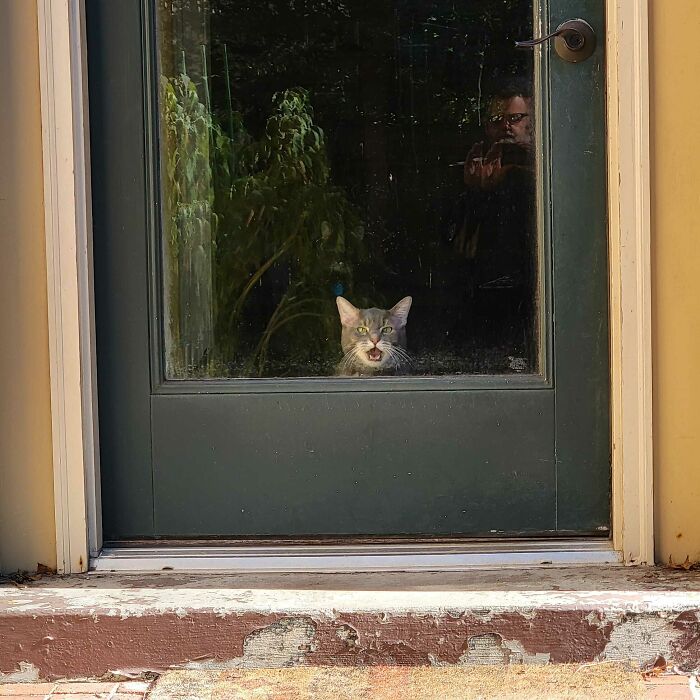 When We're 5 Minutes Late For Dinner, We Get The Scolding