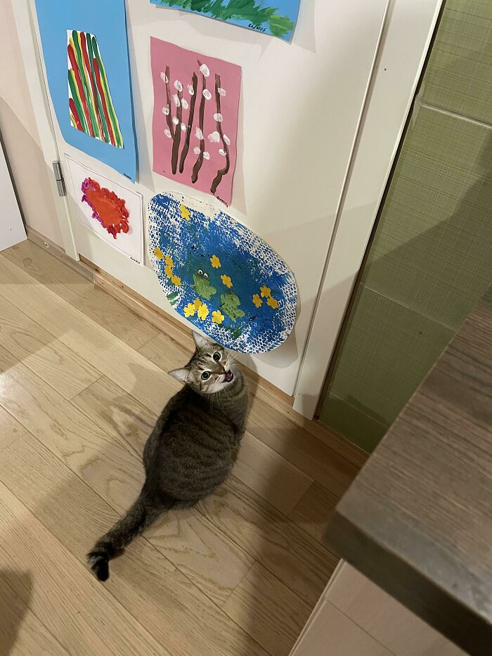 Wasn't Opening The Door Quickly Enough