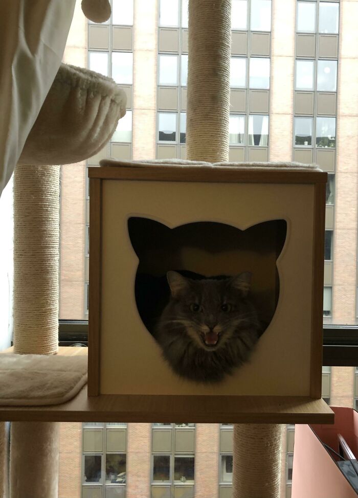 She Said Do Not Disturb!!!