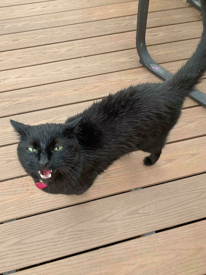 Nacho Miscalculated The Weather That Day, But Yelled At Me Like It Was My Fault He Got Soaked