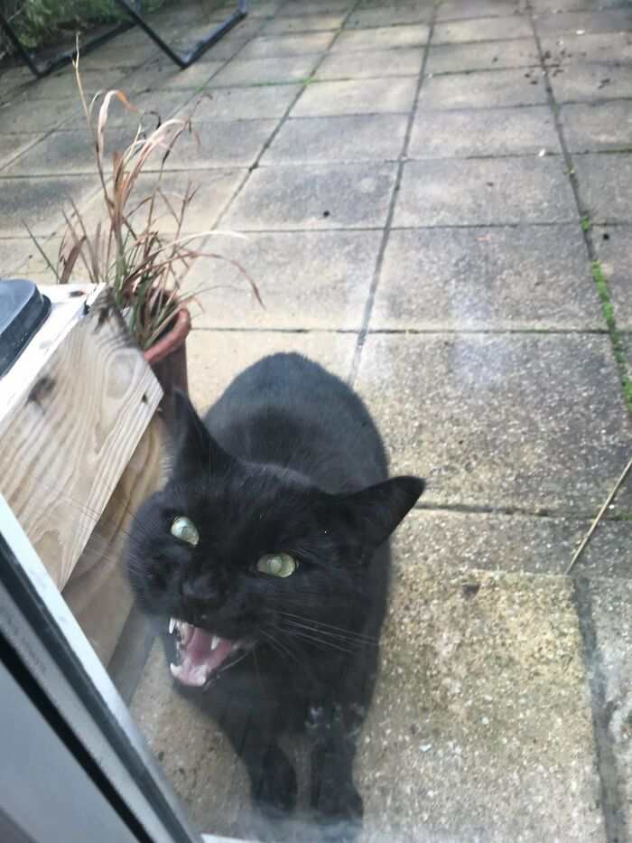 A Serious Injustice Has Been Done Unto My Void (Door Was Briefly Closed)