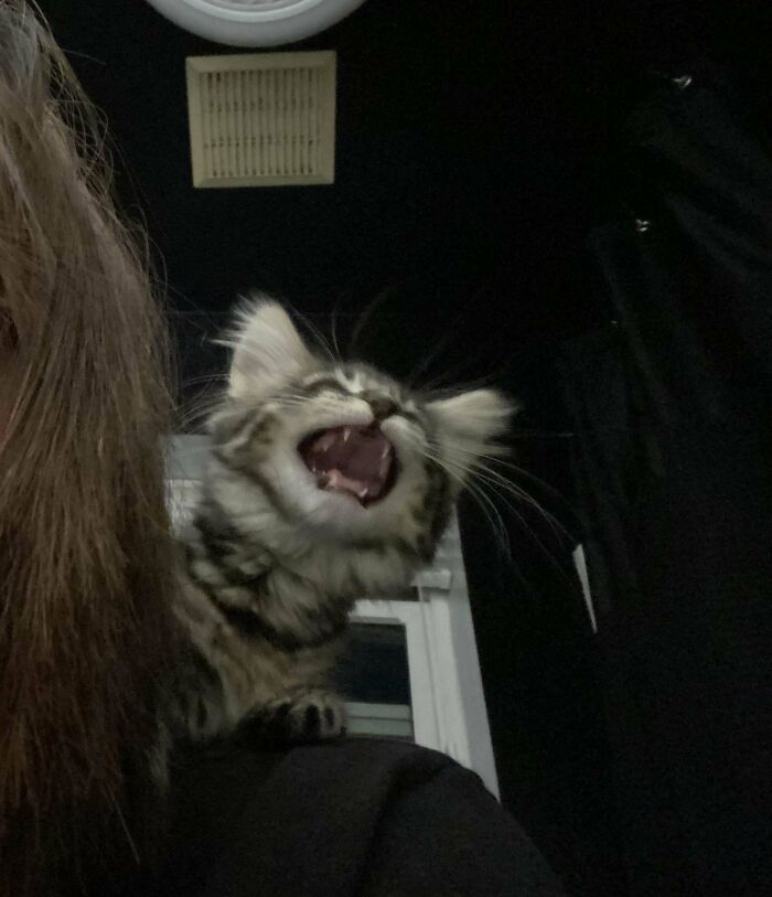 Very Talkative, Too Talkative