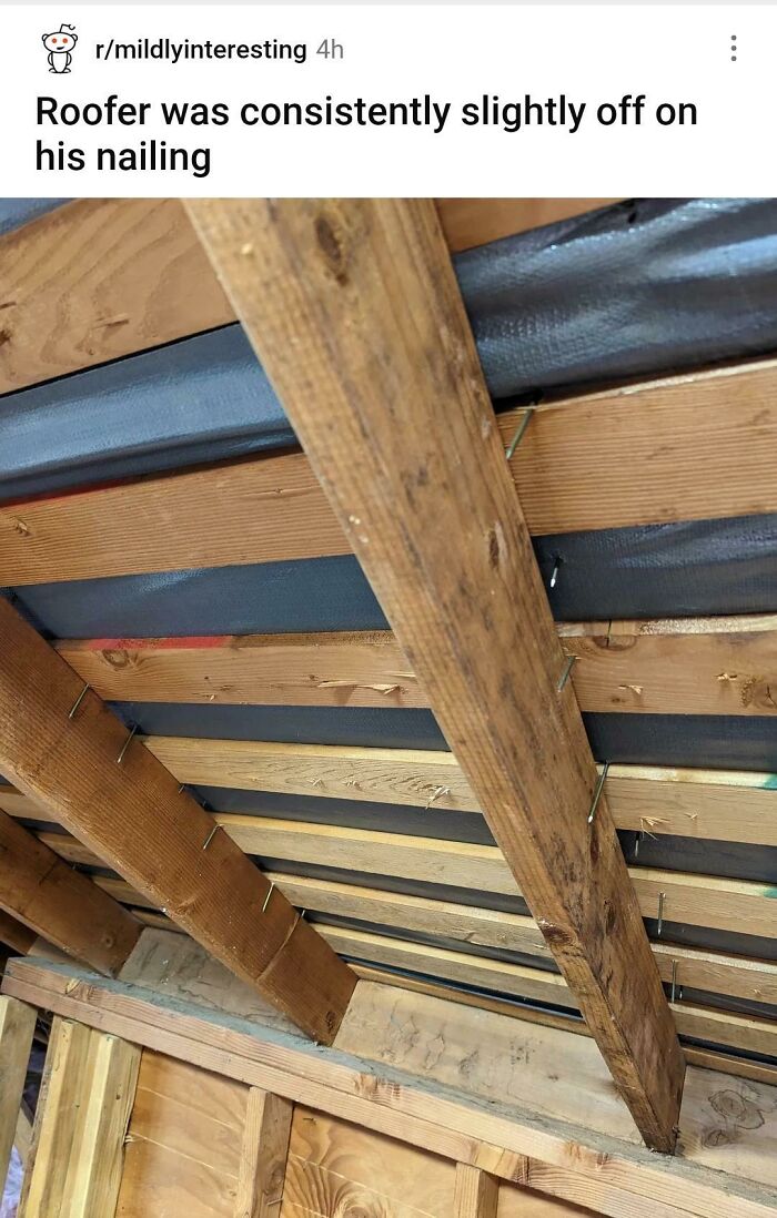 Finished Nailing The Roof Down Boss, Headed Out For The Day