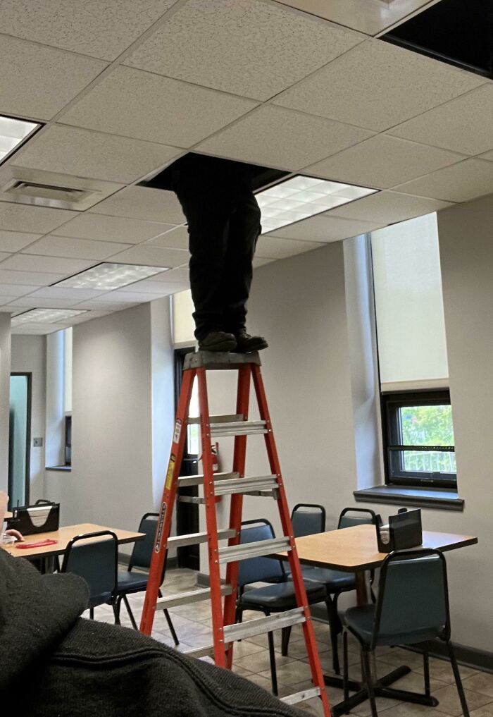 We Just Had A Safety Training Course About Ladders A Couple Of Weeks Ago