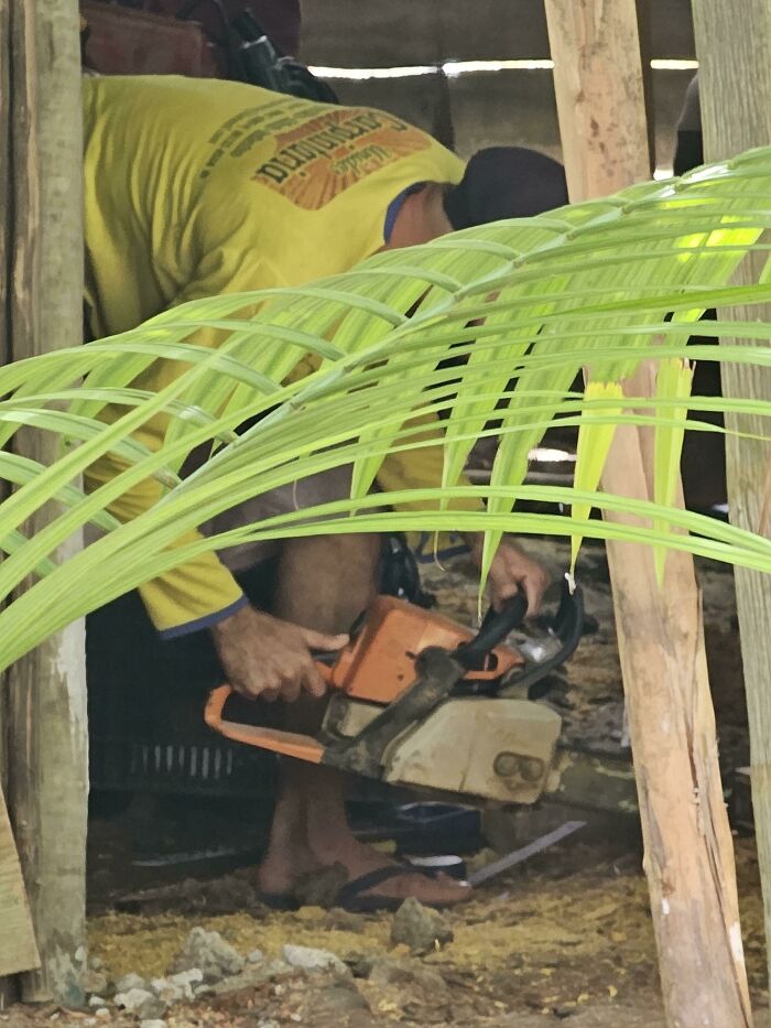 Little Breeze On Them Toes, Never Come Home With Sweaty Socks After A Long Day's Work