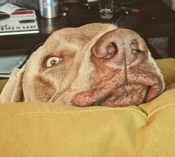 What's The Opposite Of Photogenic?