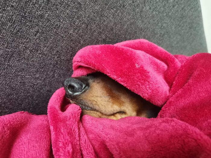 He Really Hates Rainy Days