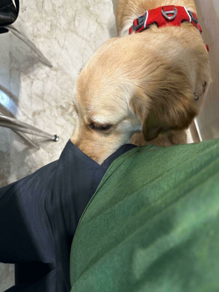 He Doesn’t Trust Me When I Say I Don’t Have Any More Treats