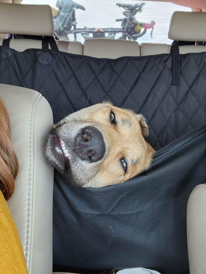 He's Perfect Actually