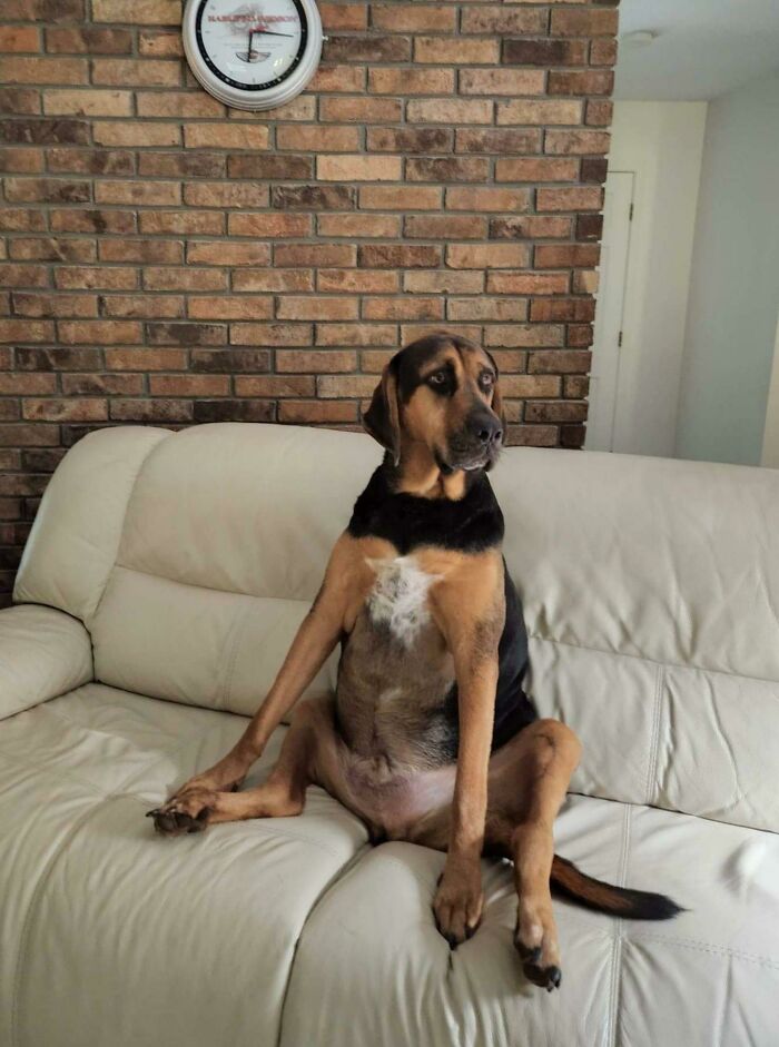 Standard Chillin' Posture