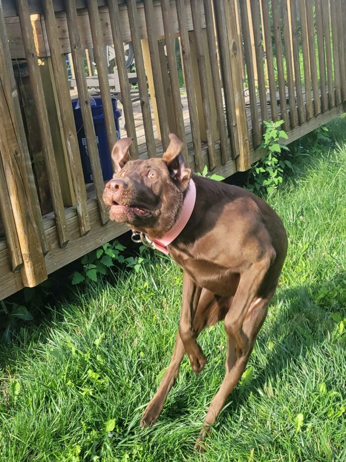 She's A Handsome Lady