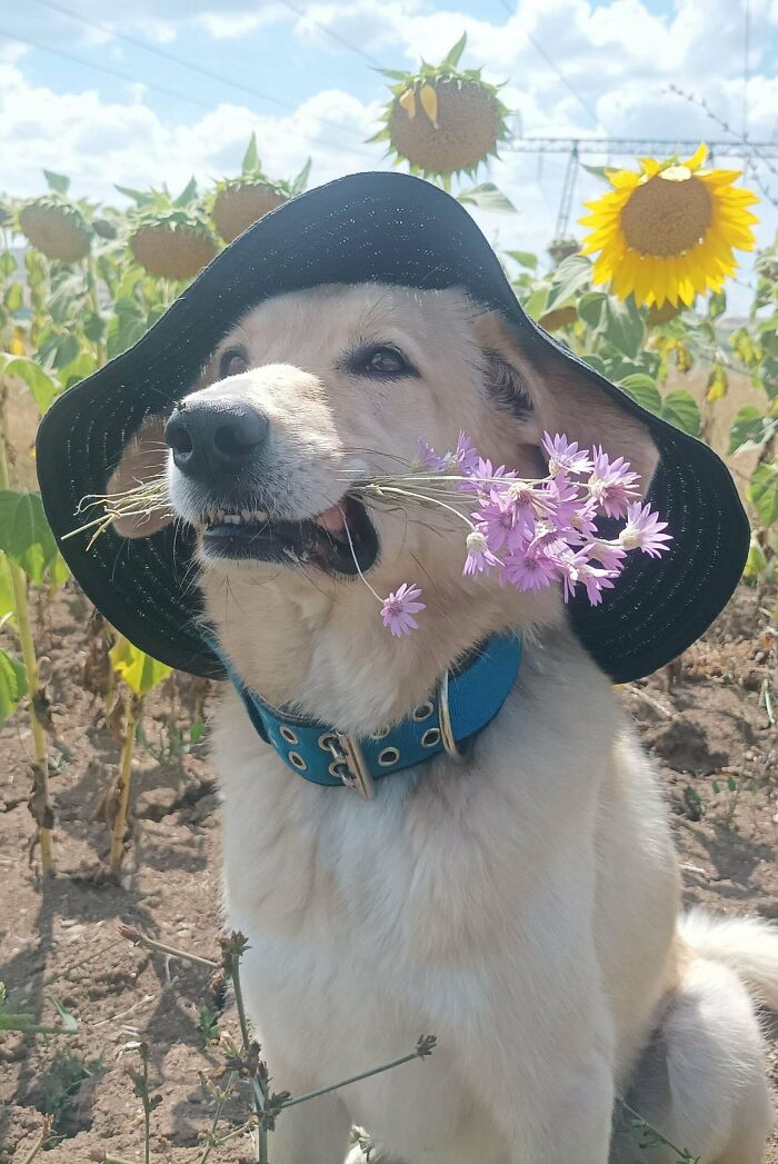 What Didn't Make Into The Final Photoshoot