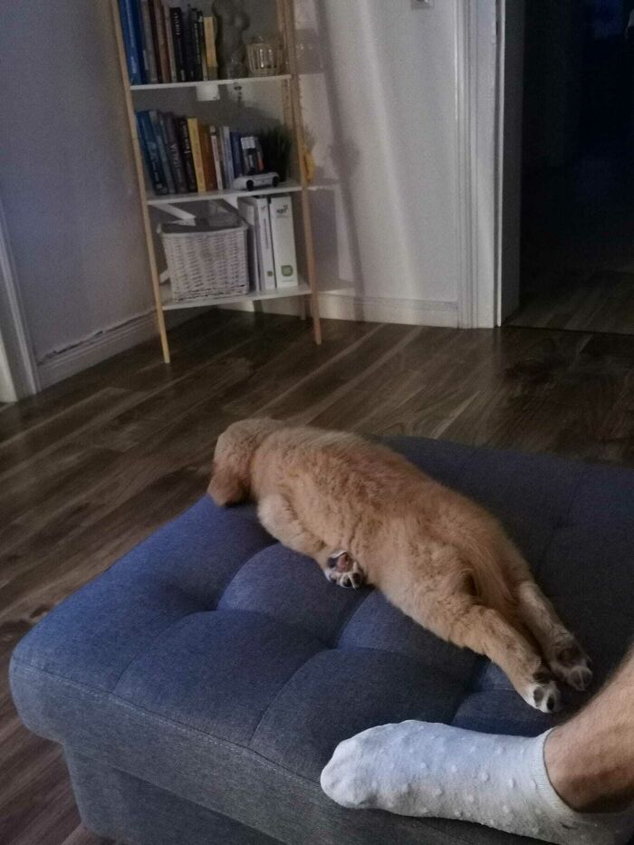 My Sister Just Sent Me This Picture