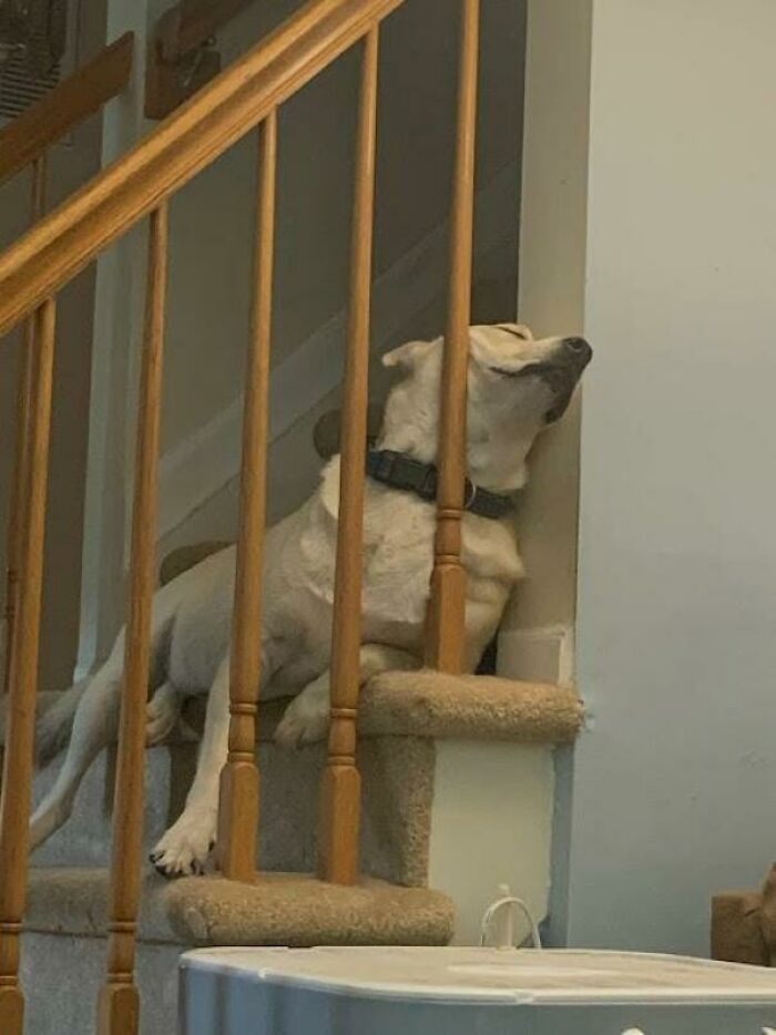 Are We Letting Sleeping Dogs Lie?