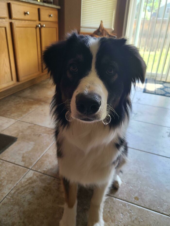 She Uh. She Blows Bubbles