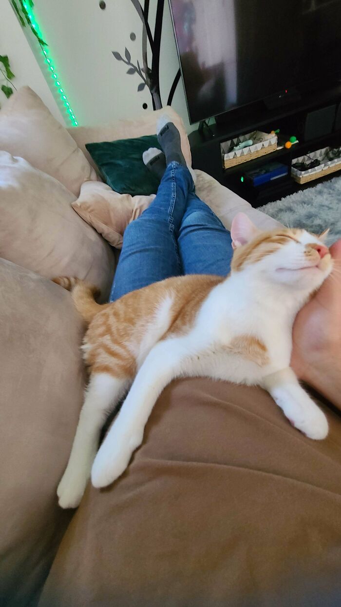 Only Took 1 Day After Adopting Him For Him To Adopt Us