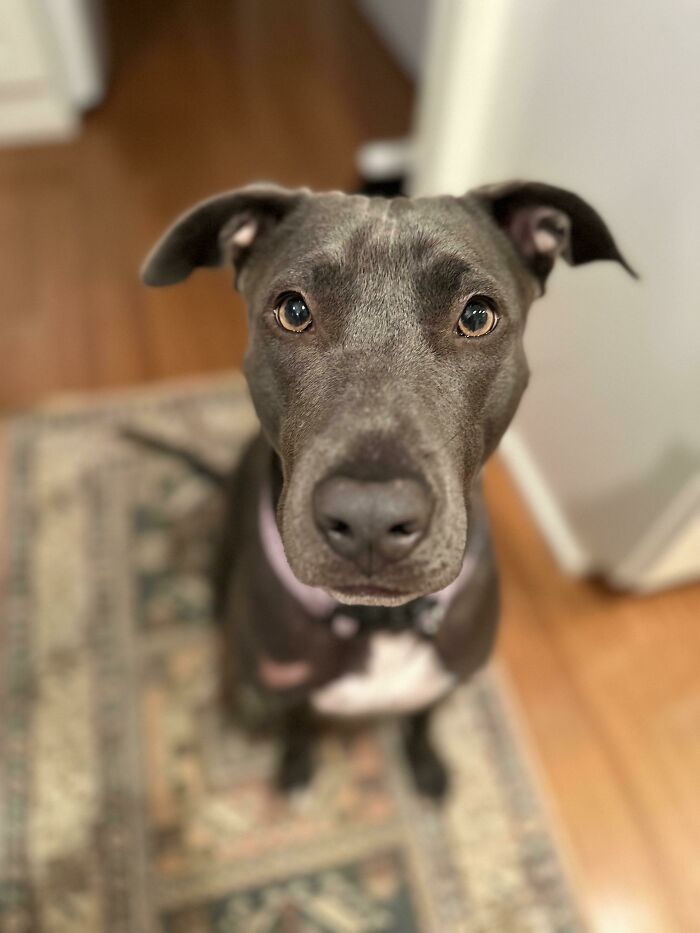 I Think I Officially Adopted The Cutest Girl In The World