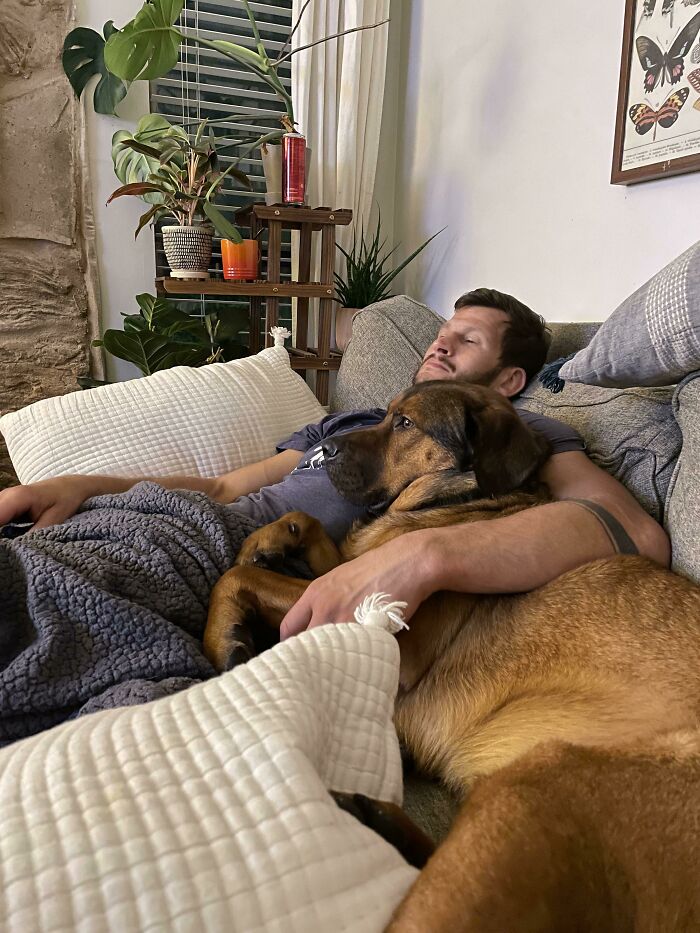 Our Rescue Is Settling In Well! Just A Couple Of Boys