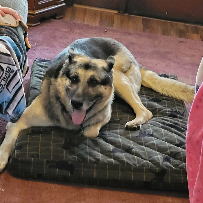 The Newest Member Of Our Family, Banner!