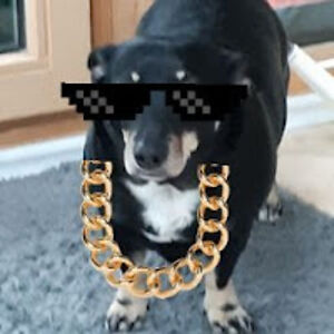 dorisenzelsberger avatar