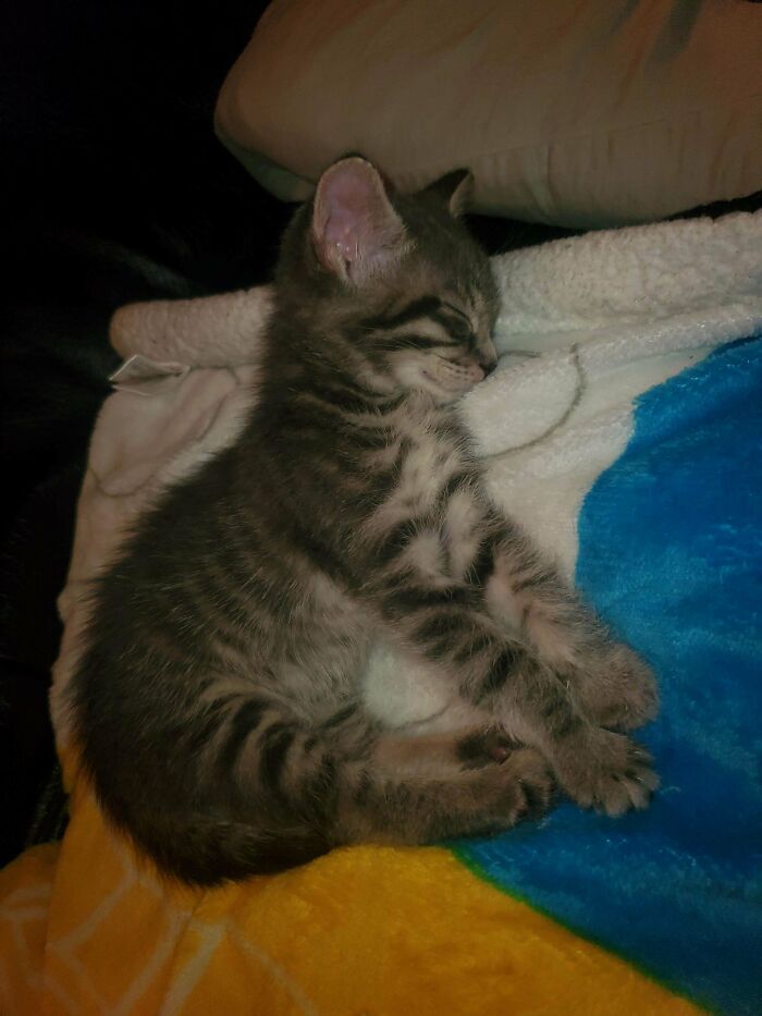 Adopted This Baby A Week Ago. She Has Tummy Issues But Otherwise Doing Good