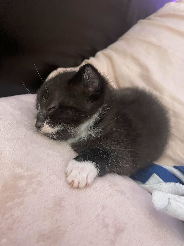 My New Baby. I’m In Love!