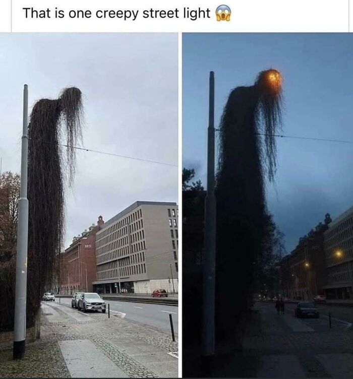 Overseer The Light Of Streets