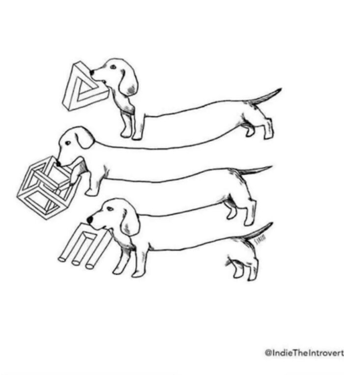 Fuffy, The Unaccountable