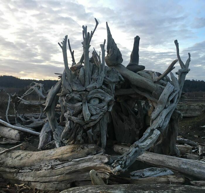 Driftwood Art Found At A Local Beach Near My House