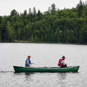 andreaschinkel avatar