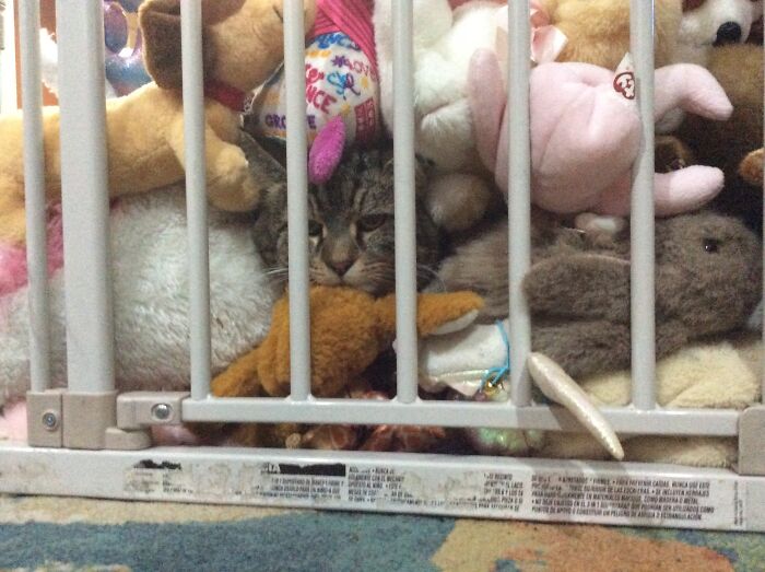 He’s Having So Much Fun