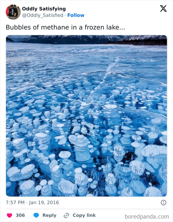 Twitter-Oddly-Satisfying-Pics