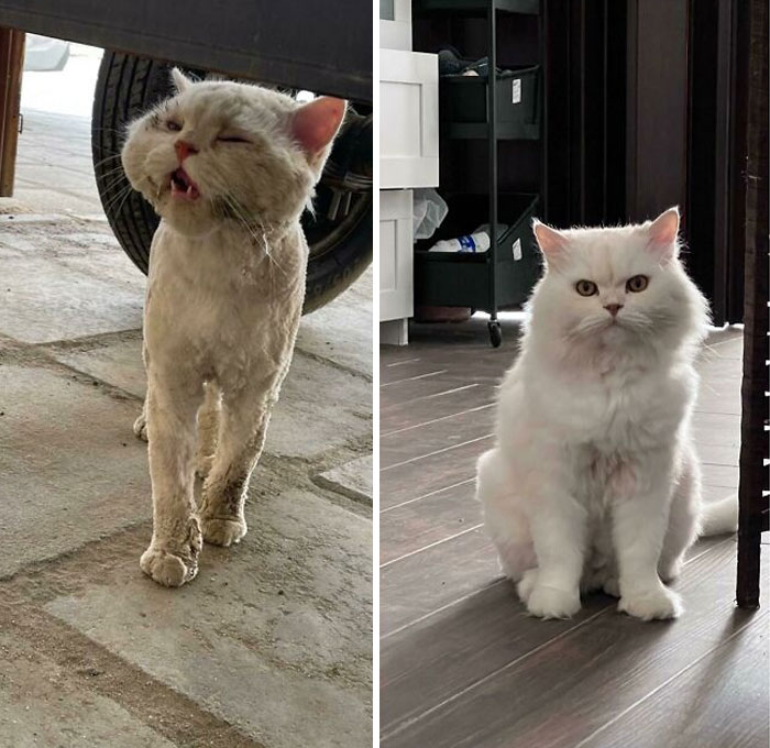 One Year Of Good Care And Love