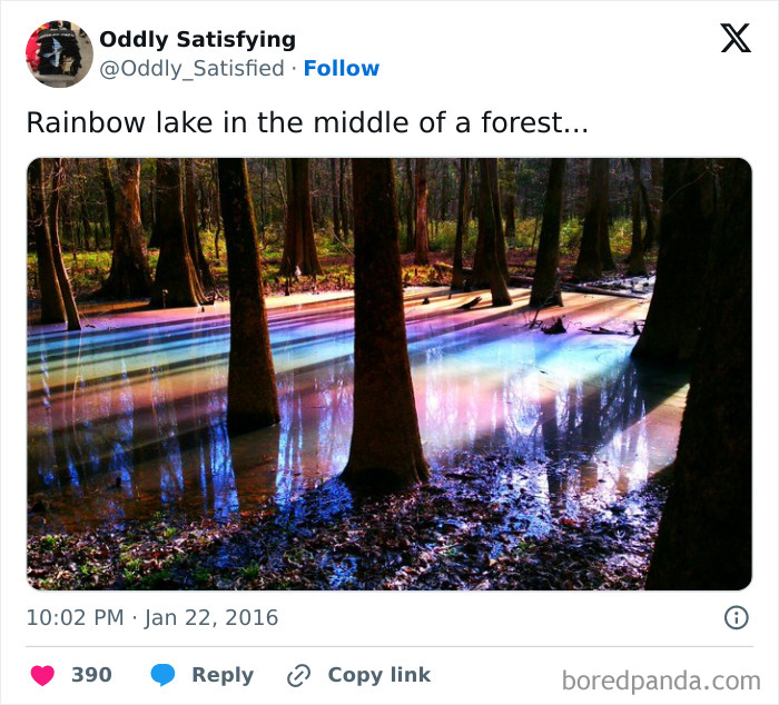 Twitter-Oddly-Satisfying-Pics