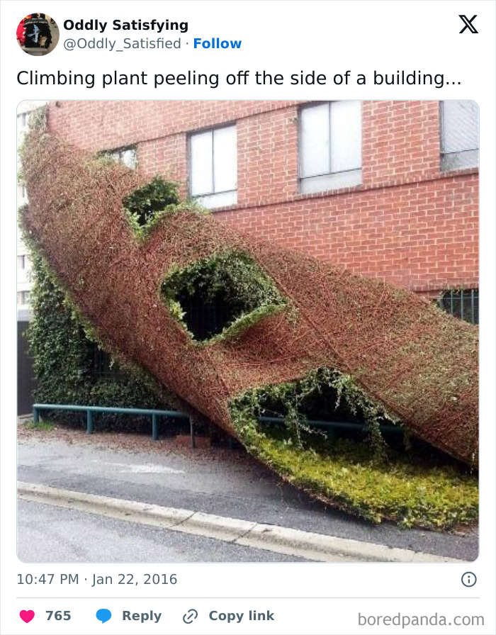 Twitter-Oddly-Satisfying-Pics