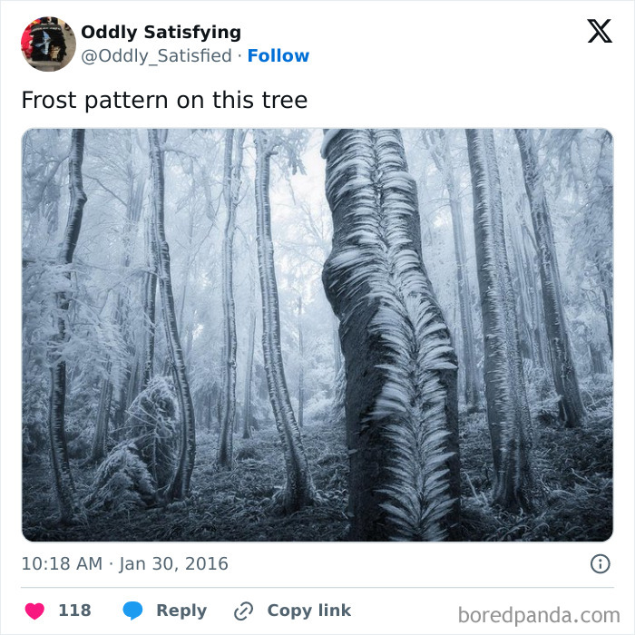 Twitter-Oddly-Satisfying-Pics