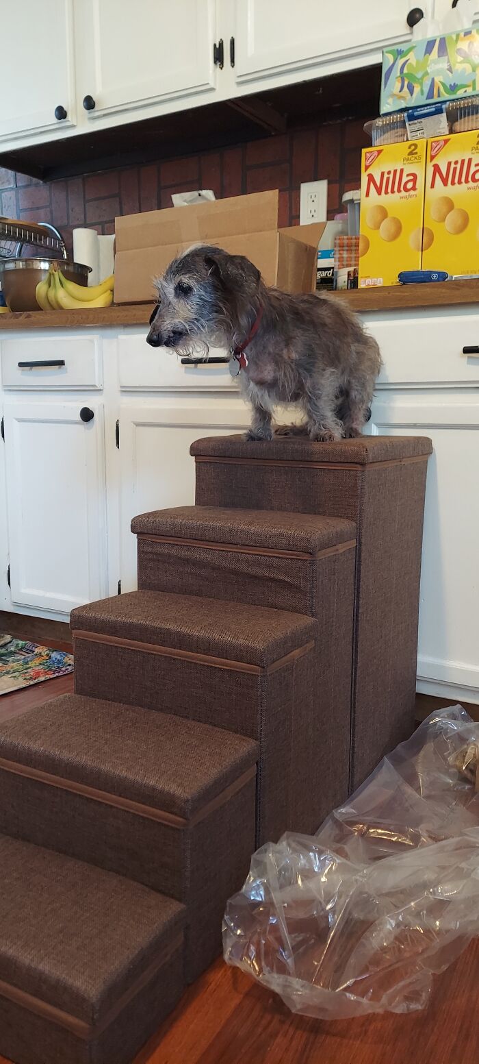 Zeus, Learning To Navigate A New Set Of Stairs