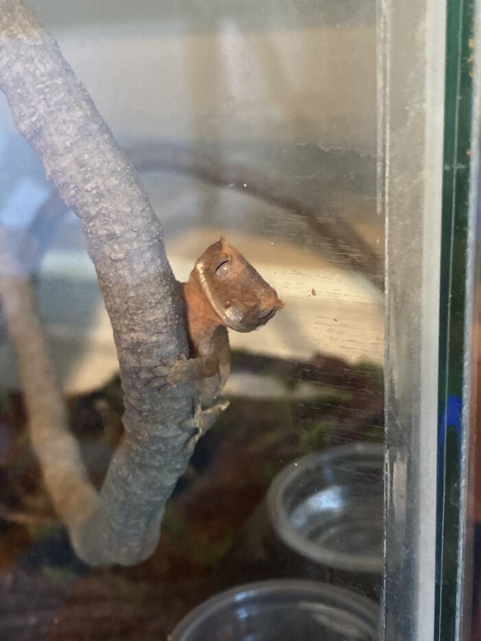 It’s Not The Best Picture But I Love It Cause It’s From The Day I Got This Little Guy