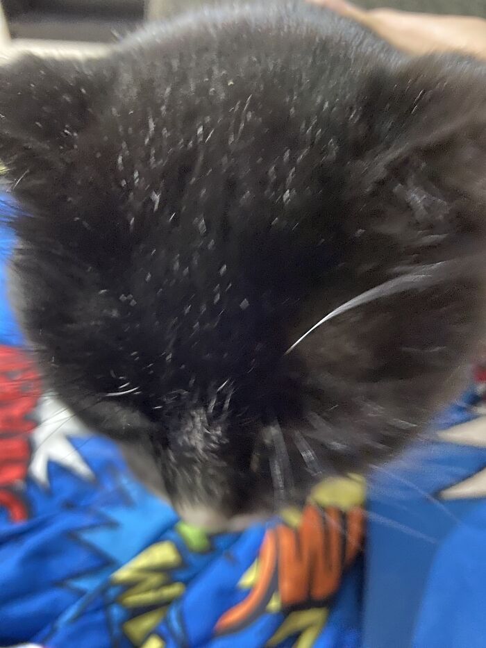 You Asked, I Deliver