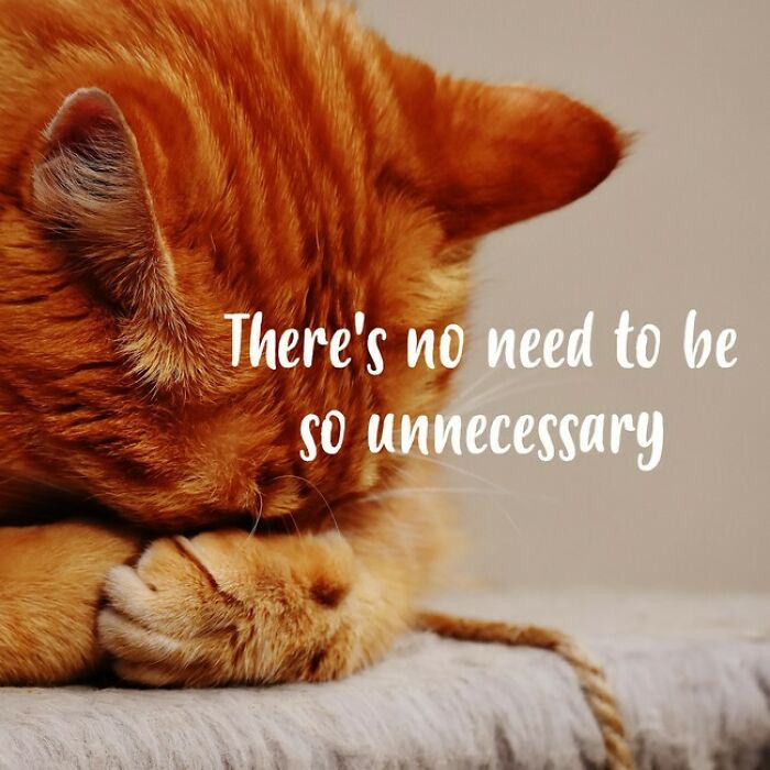 My 38 Ai-Generated Inspirational Quotes