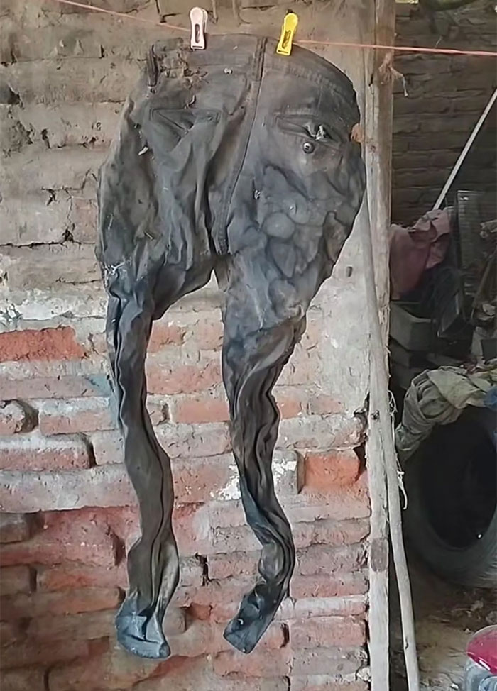 Worn-Out-Items-Trend