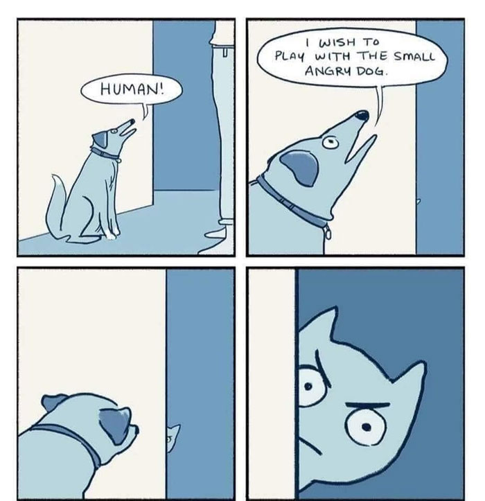 A four-panel dog meme comic. In the first panel, a dog is sitting and saying "HUMAN!" In the second panel, the dog continues, "I wish to play with the small angry dog." In the third panel, the dog looks around a corner. In the fourth panel, a cat with an angry expression peers back from around the corner. The comic humorously captures the dog's desire to play with a typically grumpy cat.